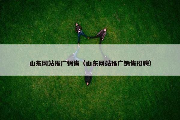 山东网站推广销售（山东网站推广销售招聘）