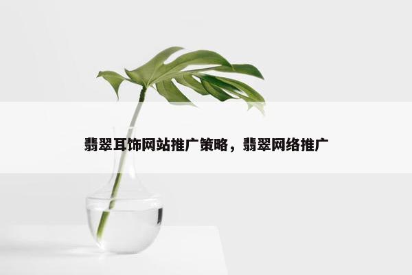 翡翠耳饰网站推广策略，翡翠网络推广