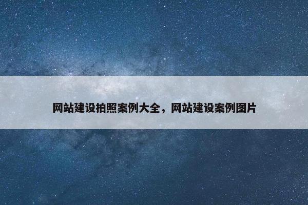 网站建设拍照案例大全，网站建设案例图片