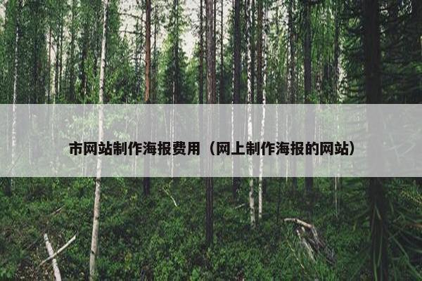 市网站制作海报费用（网上制作海报的网站）
