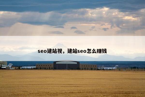 seo建站视，建站seo怎么赚钱