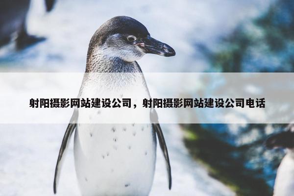 射阳摄影网站建设公司，射阳摄影网站建设公司电话