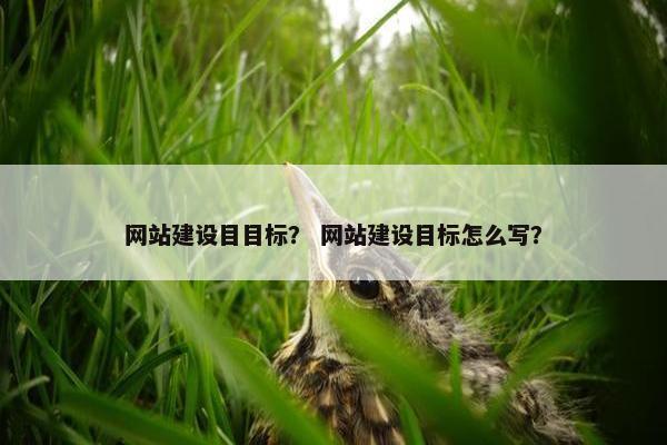 网站建设目目标？ 网站建设目标怎么写？