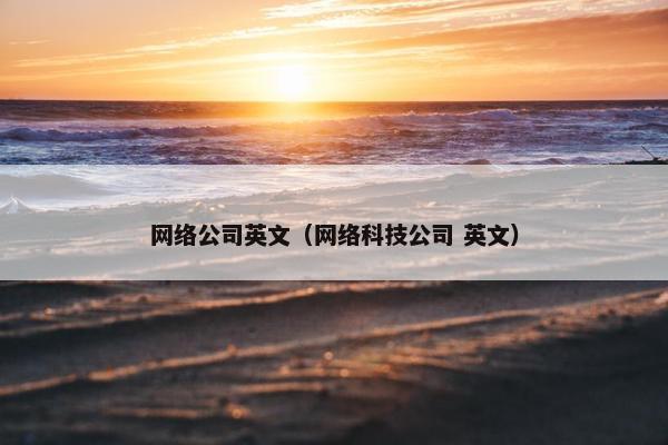 网络公司英文（网络科技公司 英文）