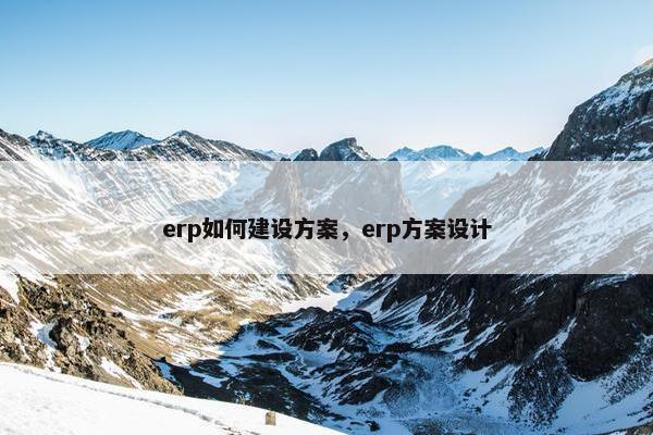erp如何建设方案，erp方案设计