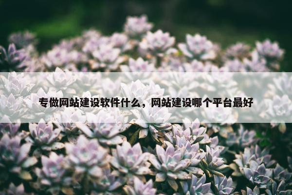 专做网站建设软件什么，网站建设哪个平台最好