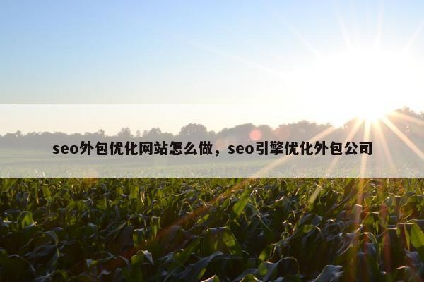 seo外包优化网站怎么做，seo引擎优化外包公司