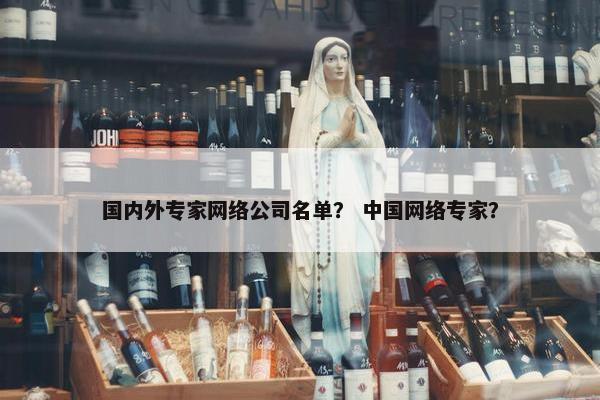 国内外专家网络公司名单？ 中国网络专家？