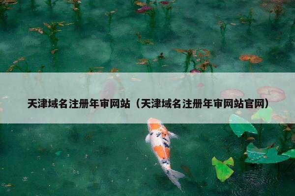 天津域名注册年审网站（天津域名注册年审网站官网）