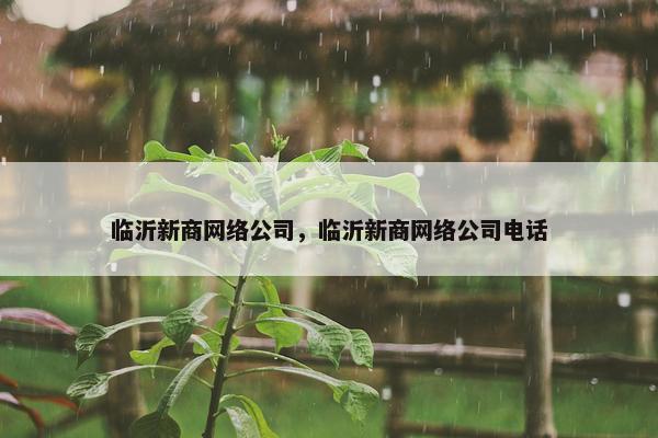 临沂新商网络公司，临沂新商网络公司电话