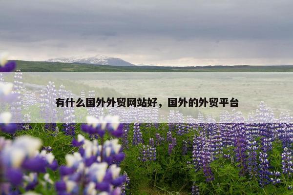 有什么国外外贸网站好，国外的外贸平台
