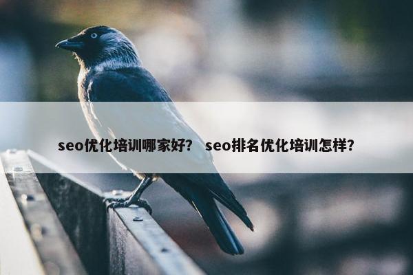seo优化培训哪家好？ seo排名优化培训怎样？