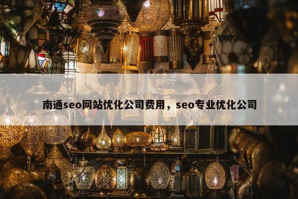 南通seo网站优化公司费用，seo专业优化公司