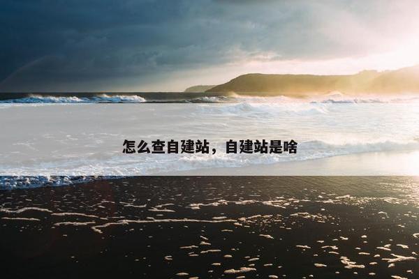 怎么查自建站，自建站是啥