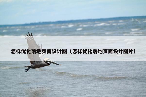 怎样优化落地页面设计图（怎样优化落地页面设计图片）