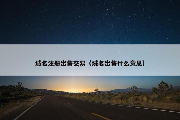域名注册出售交易（域名出售什么意思）