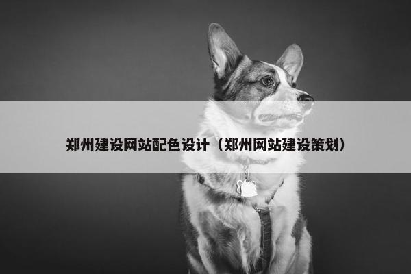 郑州建设网站配色设计（郑州网站建设策划）