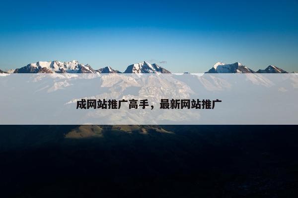 成网站推广高手，最新网站推广