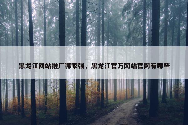 黑龙江网站推广哪家强，黑龙江官方网站官网有哪些
