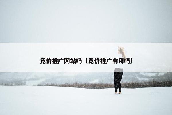 竞价推广网站吗（竞价推广有用吗）