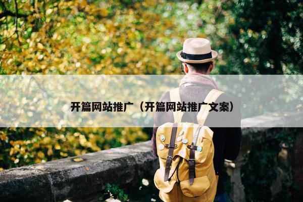 开篇网站推广（开篇网站推广文案）
