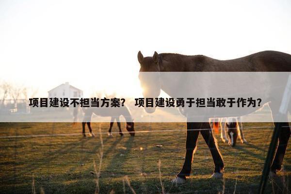 项目建设不担当方案？ 项目建设勇于担当敢于作为？