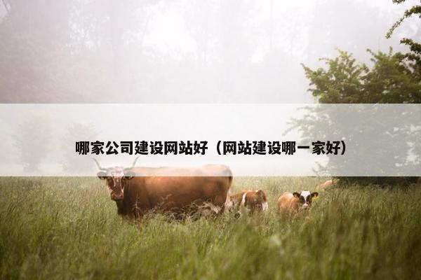 哪家公司建设网站好（网站建设哪一家好）