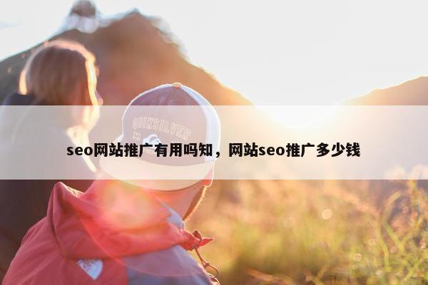 seo网站推广有用吗知，网站seo推广多少钱