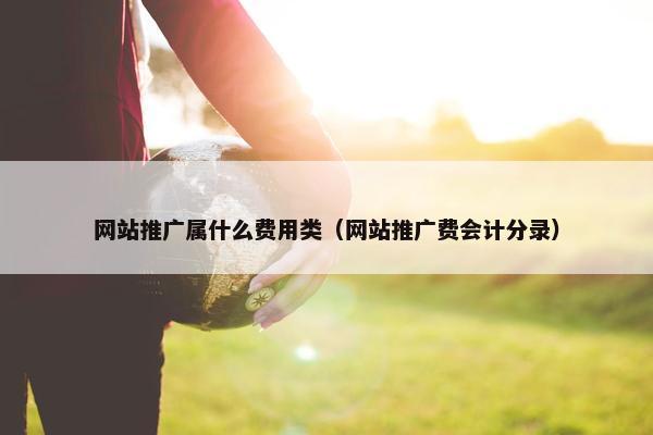 网站推广属什么费用类（网站推广费会计分录）
