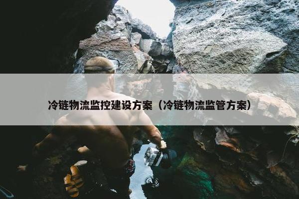 冷链物流监控建设方案（冷链物流监管方案）