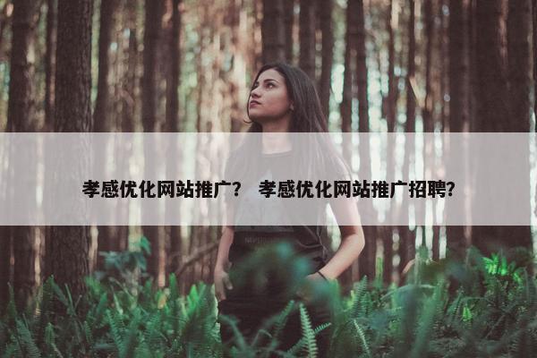 孝感优化网站推广？ 孝感优化网站推广招聘？