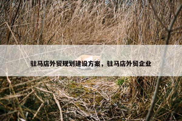 驻马店外贸规划建设方案，驻马店外贸企业
