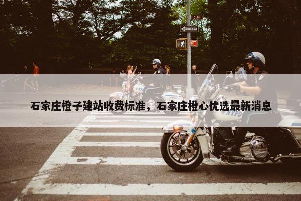 石家庄橙子建站收费标准，石家庄橙心优选最新消息
