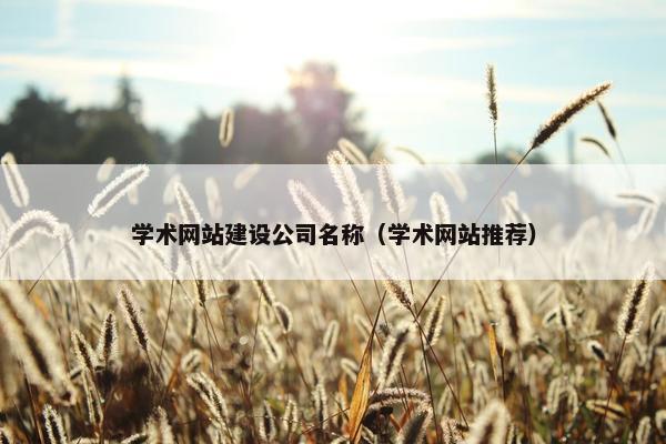 学术网站建设公司名称（学术网站推荐）