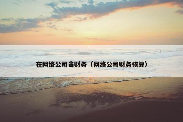 在网络公司当财务（网络公司财务核算）