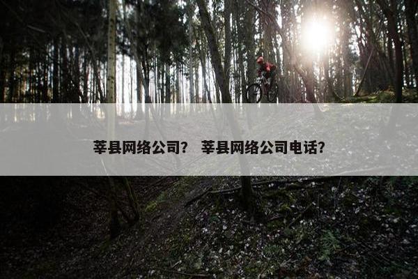 莘县网络公司？ 莘县网络公司电话？