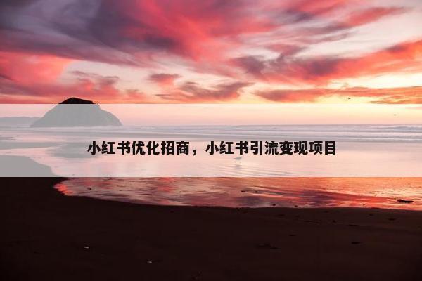 小红书优化招商，小红书引流变现项目