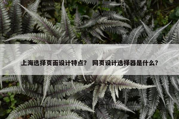 上海选择页面设计特点？ 网页设计选择器是什么？