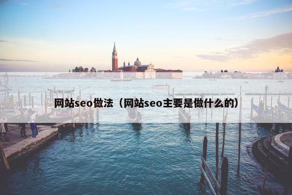 网站seo做法（网站seo主要是做什么的）