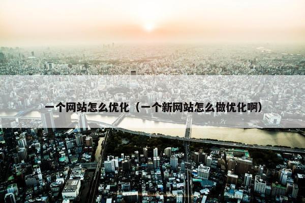 一个网站怎么优化（一个新网站怎么做优化啊）