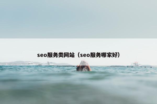seo服务类网站（seo服务哪家好）
