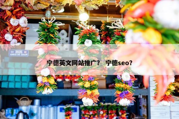 宁德英文网站推广？ 宁德seo？