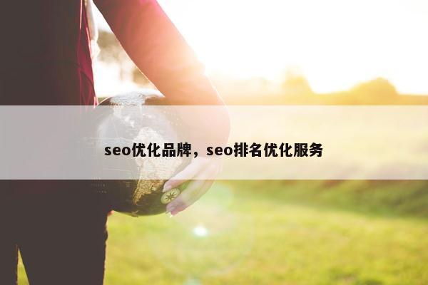 seo优化品牌，seo排名优化服务