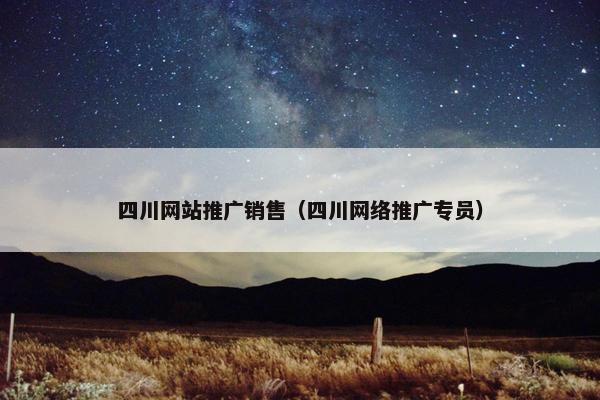 四川网站推广销售（四川网络推广专员）