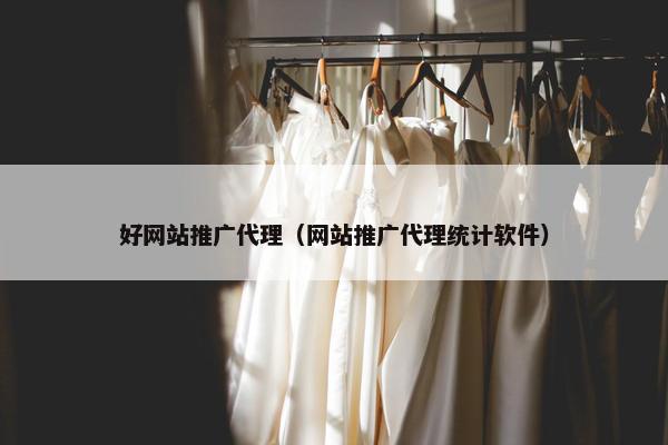 好网站推广代理（网站推广代理统计软件）