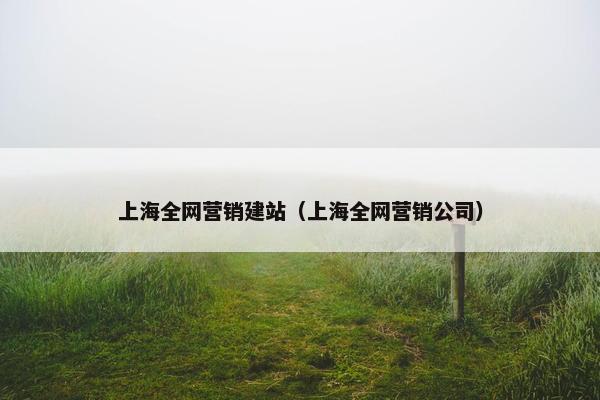 上海全网营销建站（上海全网营销公司）