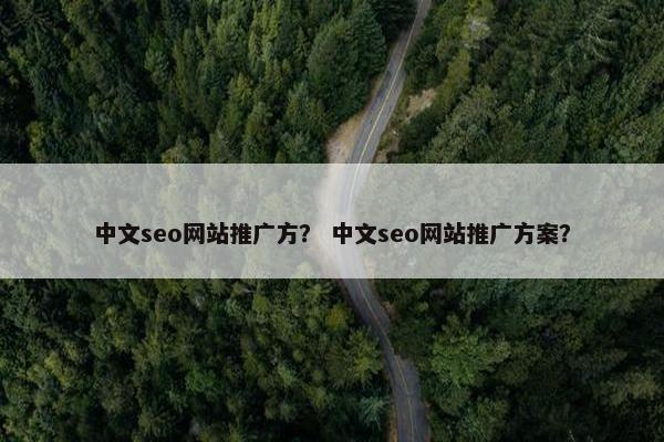 中文seo网站推广方？ 中文seo网站推广方案？