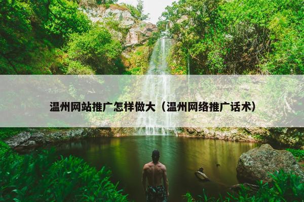 温州网站推广怎样做大（温州网络推广话术）