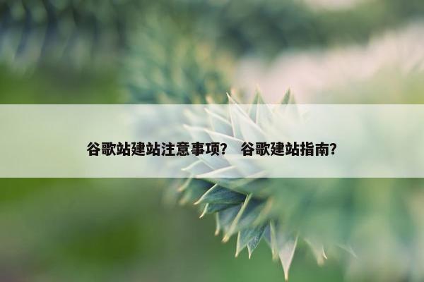 谷歌站建站注意事项？ 谷歌建站指南？