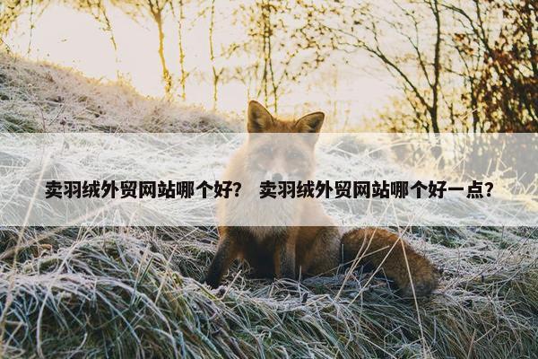 卖羽绒外贸网站哪个好？ 卖羽绒外贸网站哪个好一点？
